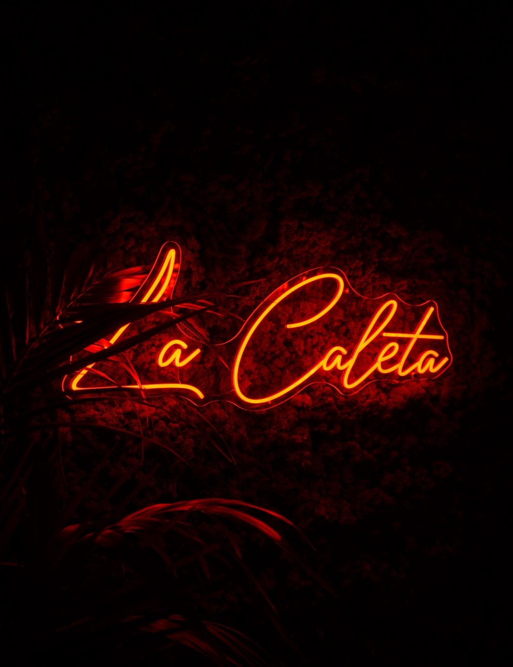 La Caleta